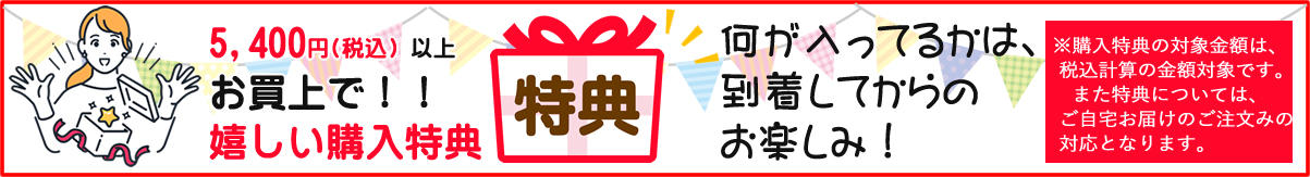 12月プレゼントキャンペーン